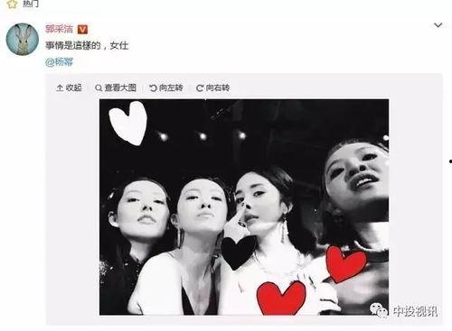 吃瓜娱乐圈杨幂图片大全,娱乐圈女神的时尚风采