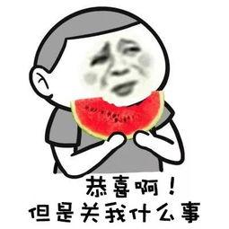 娱乐吃瓜酱过年焦虑等级,娱乐吃瓜酱带你领略不同等级的焦虑狂欢