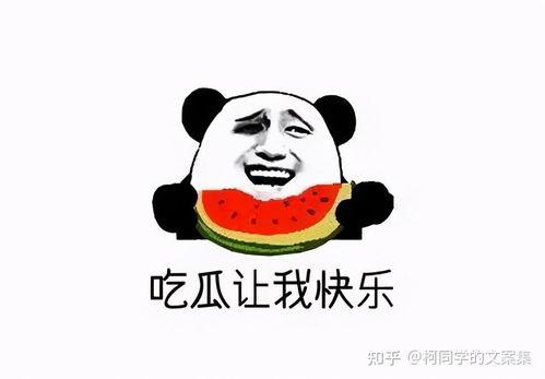 娱乐吃瓜酱你傻不傻,揭秘“你傻不傻”背后的热点事件