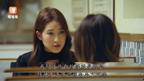 娱乐圈今日吃瓜小说,揭秘明星背后的秘密与八卦风云