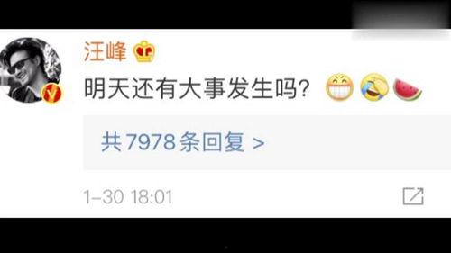 娱乐吃瓜404,吃瓜群众眼中的404事件真相