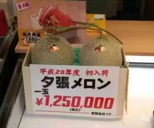 吃瓜娱乐大荟萃,盘点娱乐圈最新热点事件