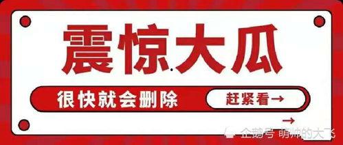 吃瓜影视娱乐有限公司,揭秘娱乐圈幕后故事