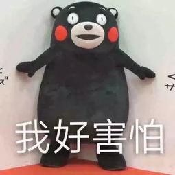 吃瓜娱乐听我说,揭秘娱乐圈幕后故事