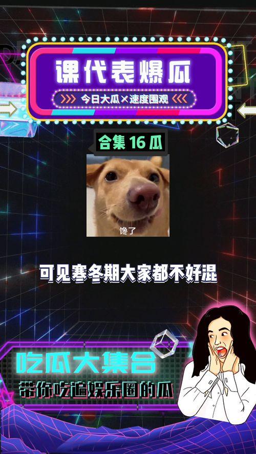 吃瓜娱乐搞笑,娱乐圈那些逗趣瞬间大盘点