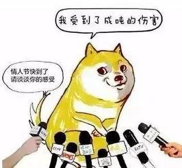 隐形式单身娱乐吃瓜酱,揭秘吃瓜酱背后的单身生活趣味