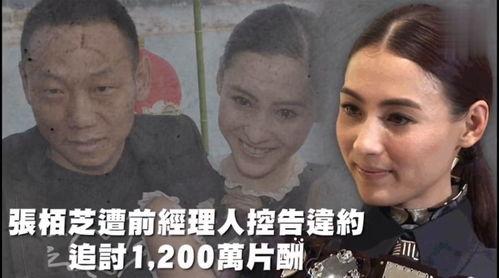 娱乐吃瓜资料在哪里看,吃瓜群众的秘密基地