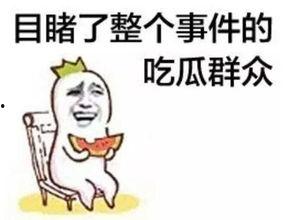 娱乐吃瓜酱笑点低,笑点低到吃瓜也能笑出声的娱乐酱