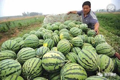 吃一口娱乐瓜,一嘴瓜料，带你领略明星幕后故事