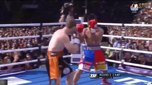 吃瓜娱乐拳击比赛直播视频,直播盛宴，精彩瞬间回顾