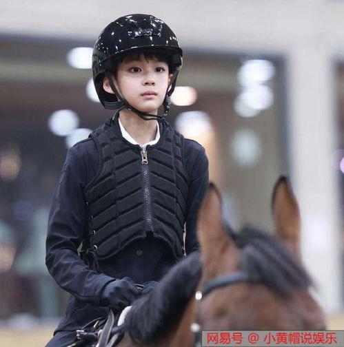 吃瓜娱乐圈王子,娱乐圈的瓜田传奇