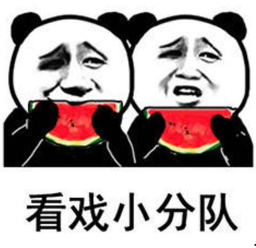 我不是废柴娱乐吃瓜,娱乐吃瓜背后的励志故事