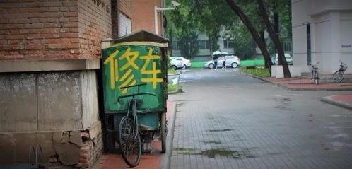 娱乐吃瓜酱考大学,娱乐吃瓜酱带你领略大学生活的多彩画卷