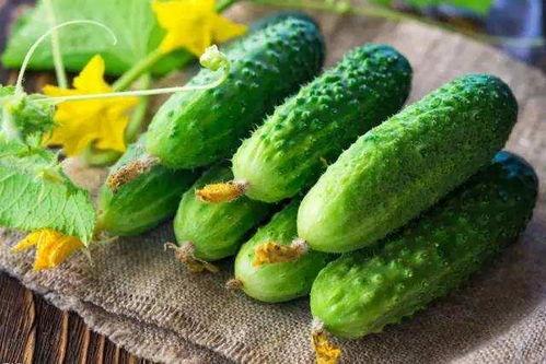 娱乐吃瓜花,吃瓜花背后的故事