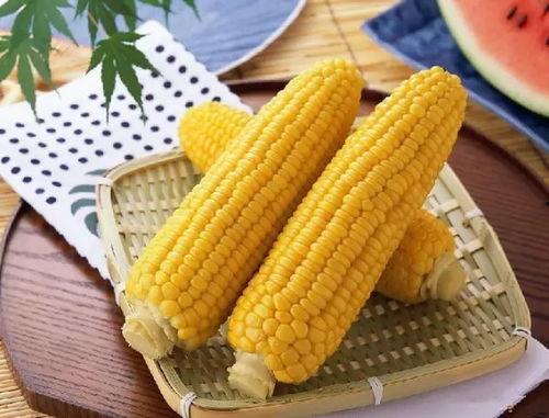 娱乐吃瓜酱玉米粒