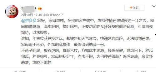 写吃瓜娱乐文怎么取笔名