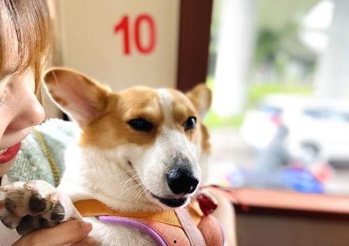 热门八卦娱乐吃瓜搞笑,笑料百出，八卦连连，揭秘明星幕后趣事