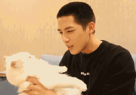 娱乐圈吃瓜王安宇,娱乐圈吃瓜王，揭秘明星幕后故事