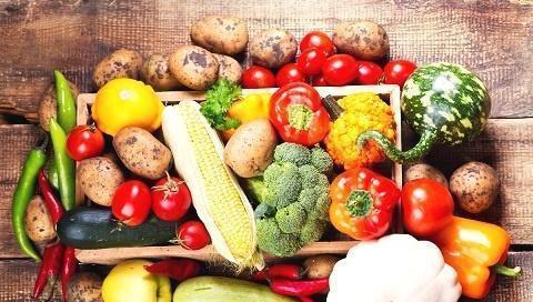 娱乐吃瓜场地图片大全高清,一场视觉盛宴