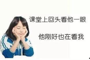 娱乐吃瓜酱语文老师说,揭秘语文学习的趣味与智慧