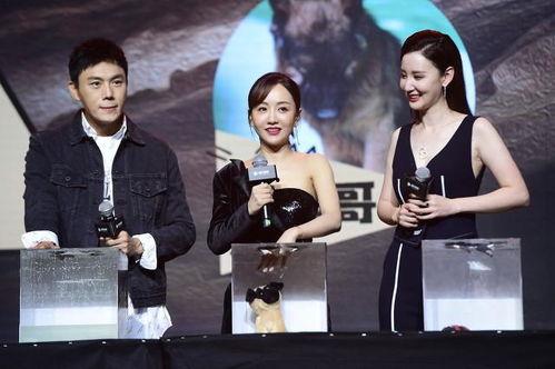 娱乐圈综艺吃瓜爆料小说